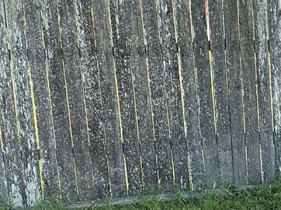 Old Fence Replacement