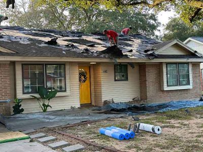 Painting and Roofing Service